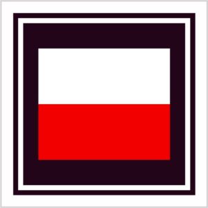 Kanwa z nadrukiem - Flaga Polski